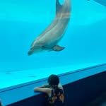 ゆりえ - @peter_shippo - Instagram