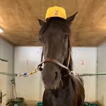 Peter Shoemaker - @peter_eq - Instagram