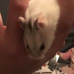 Theo Peter Shoemaker - @theopetershoemaker - Instagram