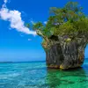 Peter Ora's Shore Tours - @peterorastour - TikTok