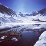 Peter Nicholls - @petershutter - Instagram