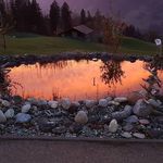 Peter Sieber - @petersieber38 - Instagram