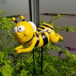 Peter Sieber - @pet_er1961 - Instagram