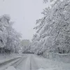 Pietro Sileo - @petersileo - TikTok