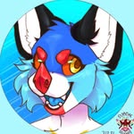 Peter The Dog - @petersilverdoggo - Instagram