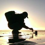 Peter Simpson - @petersimpsons - Instagram