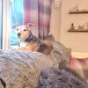 Peter Simpson - @peter.simpson0 - TikTok