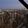 Peter Simpson - @peter.simpson126 - TikTok
