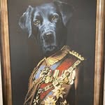 Pete Sisson - @pete_sisson - Instagram