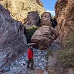 Peter Smiley - @smiles4miles11 - Instagram