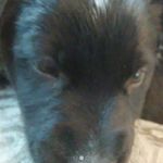 peter smithers - @peter.smithers.1000 - Instagram