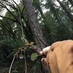 Peter Smithers - @dahobbitbilbo - Instagram