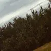 petersmithers - @petersmithers - TikTok