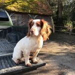 Peter Snook - @p.snook - Instagram