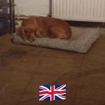 Peter Snook - @petersnook2 - Instagram