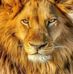 Peter Solberg - Facebook