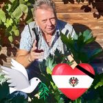 Peter Sommer - @sommerpezi - Instagram