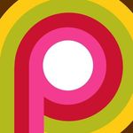 Peter Sonntag - @p.sonntag - Instagram
