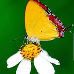 peter spadaro - @peters_favorites - Instagram