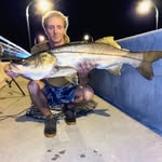 Peter Spano - @petentaz - Instagram