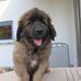 Peter Specht - Facebook