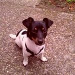 Peter Sperling - @melly2s - Instagram