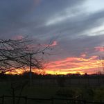 Peter Sperling - @peter.sperling.39 - Instagram