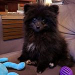 Peter Spitz - @spitzpeterr - Instagram
