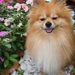 Peter Spitz - @spitz.peter - Instagram