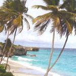 Peter Springer - @painting.in.paradise_barbados - Instagram