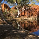 Peter Stacey - @peter.stacey.501 - Instagram