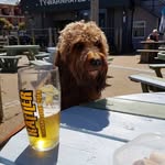 peter stacey - @harley.longwalker62 - Instagram