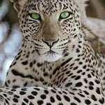 Peter Stach - @peter.stach.16 - Instagram