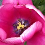 Peter Stafford - @peteshappyplace - Instagram