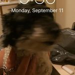 Peter Stafford - @peterstafford22 - Instagram