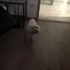 Peter Stalter - @peter.stalter - TikTok