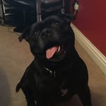 Peter Stanfield - @peterkebab - Instagram