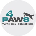 Peter Stankó - @4paws_dog_school - Instagram