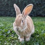 Peter Stappaerts - @stappaertspeter - Instagram