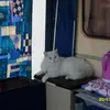 Peter Stappert - @peter.stappert - TikTok