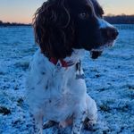 Peter Starkey - @starkeypeter - Instagram