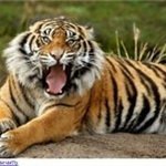 Peter Starkweather - @peterstarkweather - Instagram