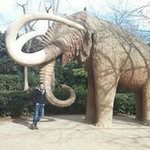 Peter Stegeman - @peter.stegeman - Instagram