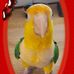 Peter Stegeman - Facebook