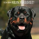 Peter Steinbach - @peter.steinbach.543 - Instagram