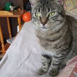 Peter Steinbach - @peter.steinbach2 - Instagram