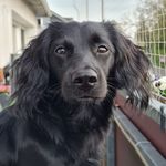 Peter Steinbach - @peter.steinbach.1069 - Instagram