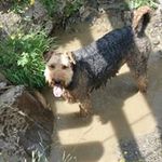 Peter Steiner - @peter.steiner.5074 - Instagram