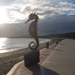 Peter Stelljes - @lyxigal43 - Instagram