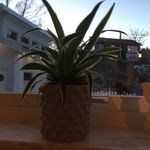 Peter Stenberg - @stenberg9540 - Instagram
